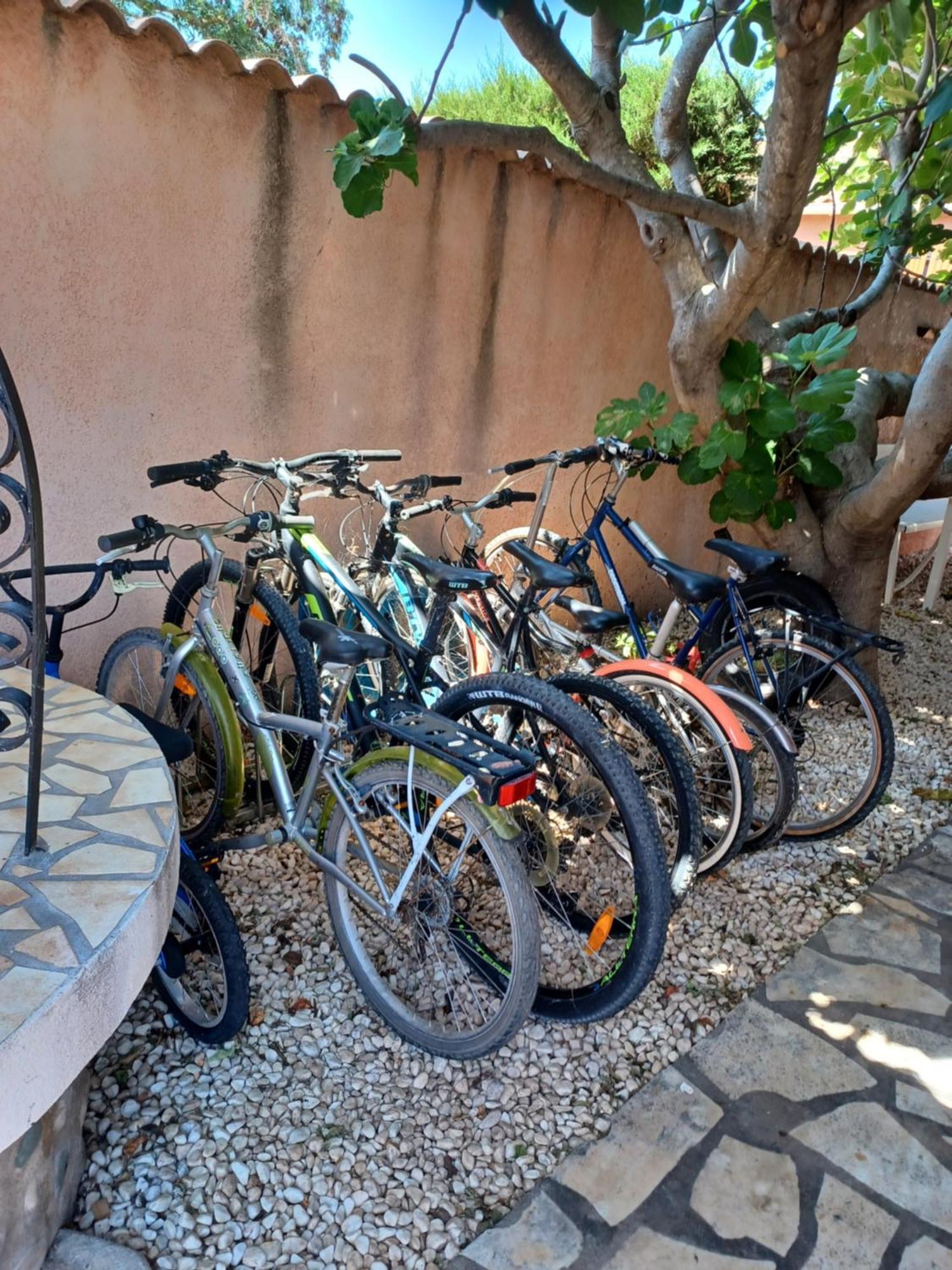 Appartement Le CLOS D'AMANDINE à Sallèles-dʼAude Extérieur photo